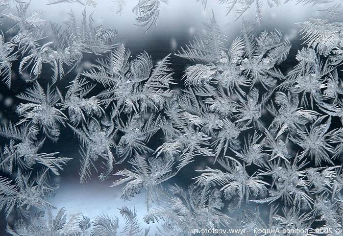 Райтер мороз